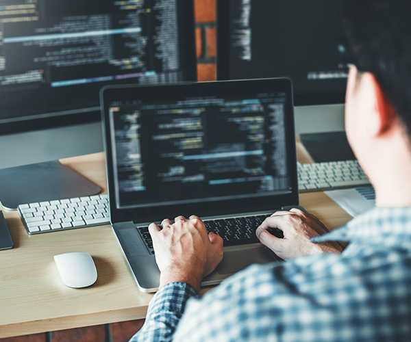 Image Data Scientist Working